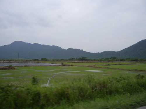 Fields of the Ecuadorian Lowlands