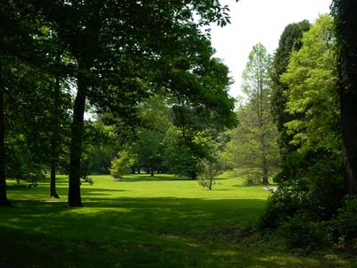 Park in Princeton