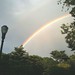 rainbow in brooklyn
