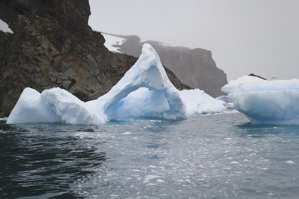 Icebergs at Cierva Cove