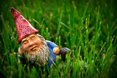 120/365  Field of Dreams or Travelocity Gnome on Vacation...