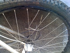  Busted Spokes