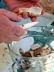 Morel cooking demonstration at the Mountain Mushroom Festival in Irvine, Kentucky-4
