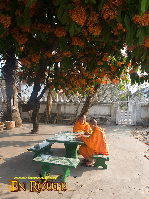 Luang Prabang Wat Sensoukarahm Studying Monks