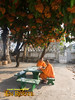 Luang Prabang Studying Monks at Wat Sensoukarahm