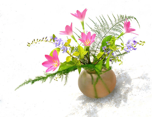 フリー写真素材|花・植物|花瓶|