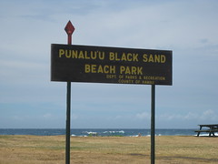 Punalu'u Black Sand Beach park