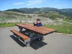 Accessible Picnic Tables