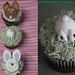 Mele Cotte Easter Cupcakes