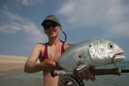 My first Jack Crevalle on the fly!