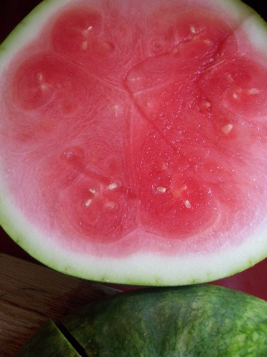watermelon_1