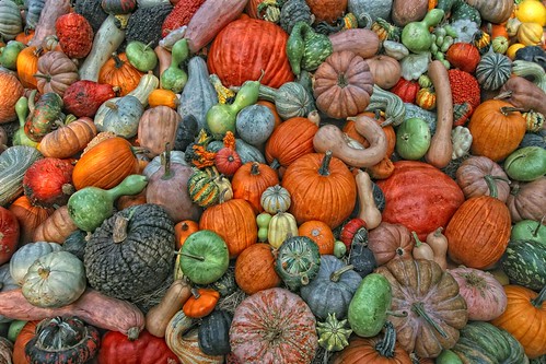 Gourds and Pumpkins by crabsandbeer (Kevin Moore)
