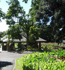 sunny botanic gardens sydney