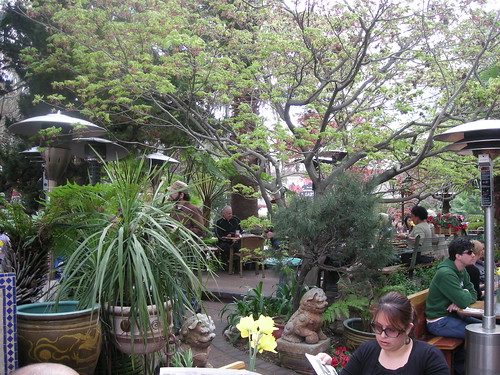 Garden Dining at the Tower Cafe