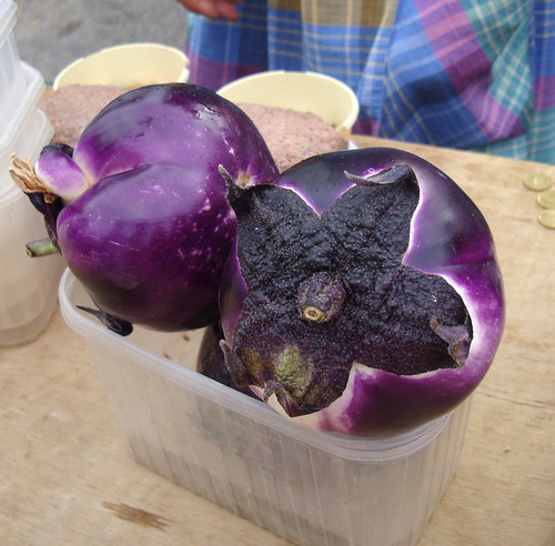 Big fat round eggplants