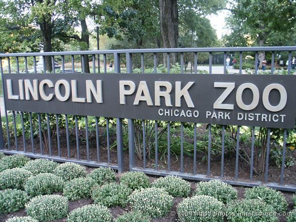 lincoln park zoo Lincoln park zoo 
