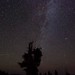 Perseid Meteor Shower HD Video
