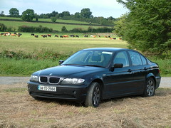 BMW in the Hay