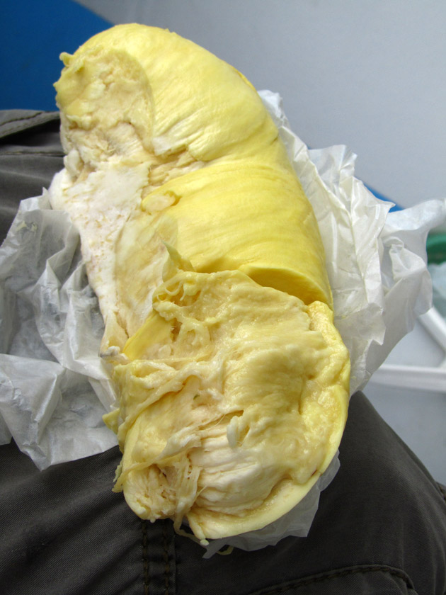 Baguette of Durian
