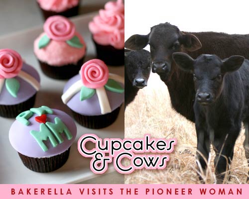 Cupcakes & Cows