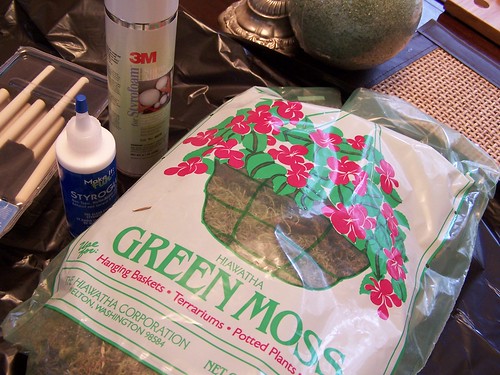 Getting Crafty With Green: <br>Make a Moss Topiary