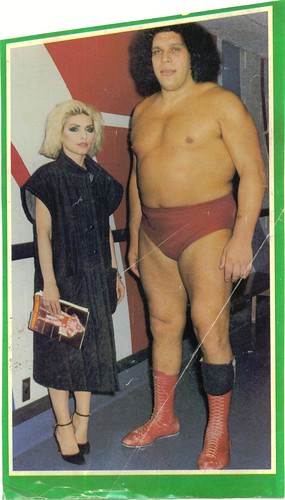 debbie harry meets andre the giant