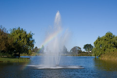 Fountain Rainbow