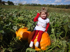 Lilliann Sitting On A Giant Pumpkin