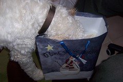 Christmas 2008- is THIS bag for me?