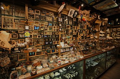 Wide Angle Wunderkammer by caruba, on Flickr
