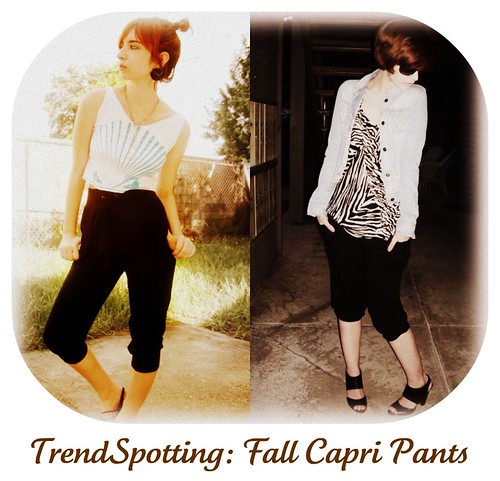 trendspotting: Fall capri pants