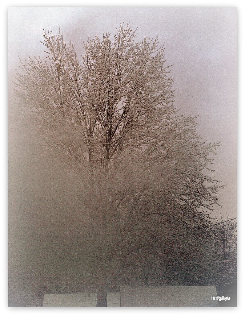 On The Mist Of The Winter