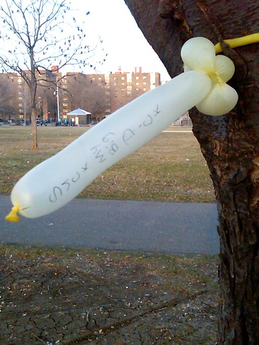 Bronx Balloon Vandal