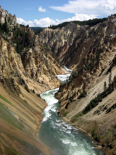 Grand Canyon of Yellowstone, from Lower Falls brink