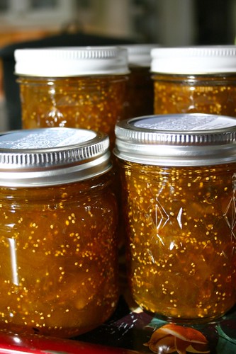 fig preserves with fennel and ginger