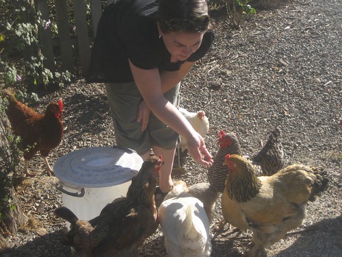 Feeding Chickens at Olema Cottages