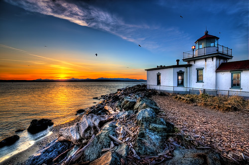 Rocky Driftwood Lighthouse by Surrealize