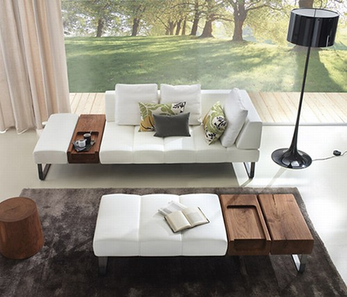 Cozy Sofa designs, living room design