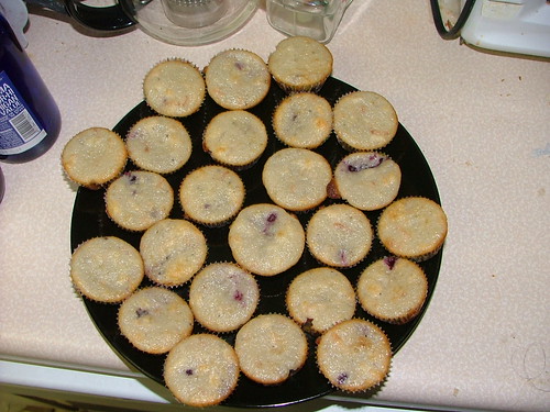 Blackberry Coconut Mini Muffins