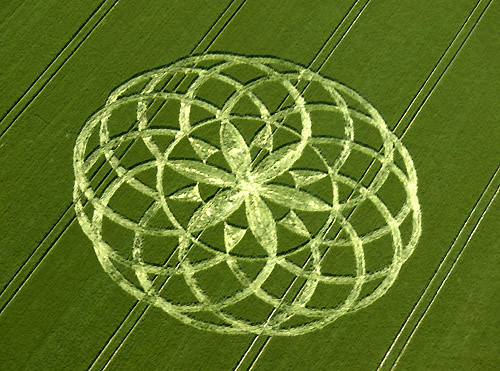 Amazing Crop Circle