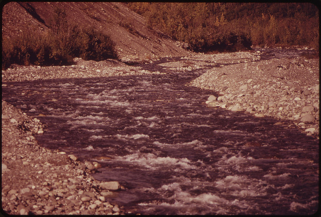 Gulkana River Salmon Swim More Than 200 Miles Up the Copper River From Prince William Sound to Reach the Headwaters of the Gulkana River in Order to Spawn 081973 by The US National Archives