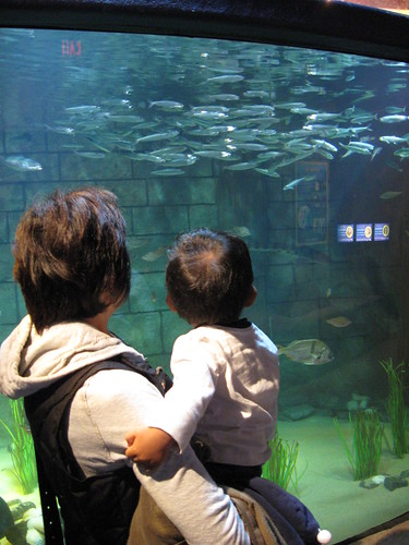 SEA LIFE Aquarium