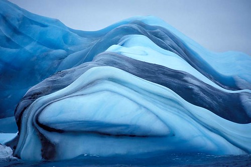 Colorful Antarctic Icebergs