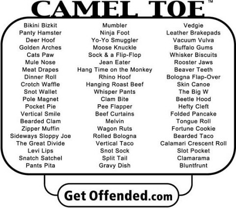 camel toes