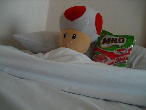 Toad rests with some goodies