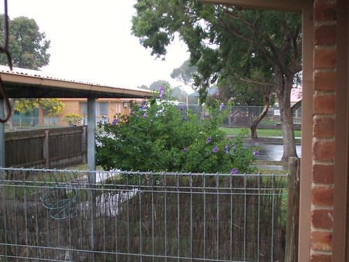 Rainy day, Melbourne, july 2009