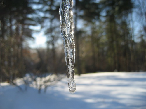 Photo of an Icicle by Quirky Bags
