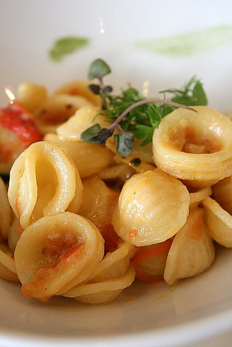 Pasta with daily vegetables