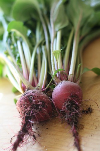 For Pres. Obama, at least beets are pretty, aren't they?