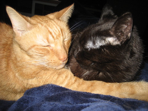Brotherly love--Meph and Grendel